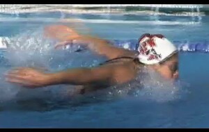 Educatifs en papillon